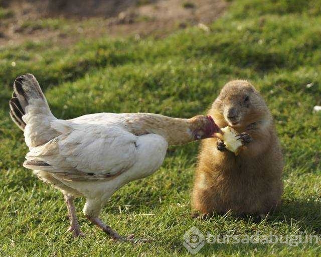 Günün en çok paylaşılan fotoğrafları