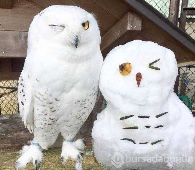 Günün en çok paylaşılan fotoğrafları