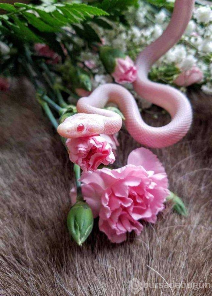 Günün en çok paylaşılan fotoğrafları