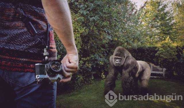 Günün en çok paylaşılan fotoğrafları