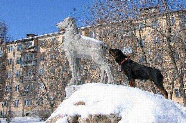 Günün en çok paylaşılan fotoğrafları