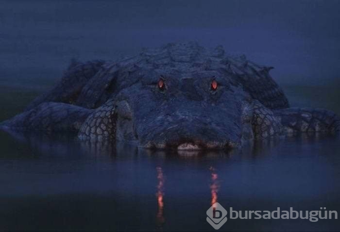 Tam o anda yakalanan kareler!