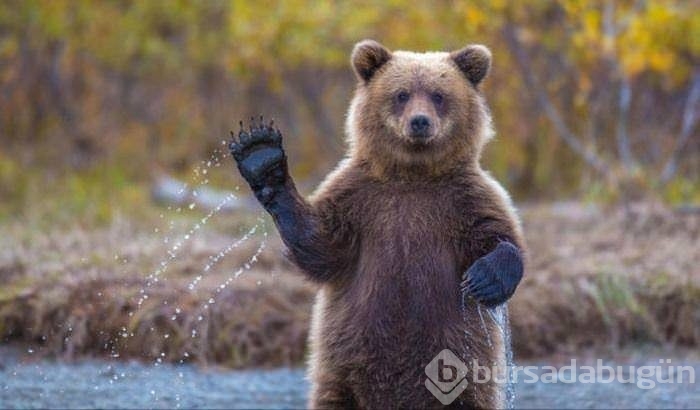 Tam o anda yakalanan kareler!