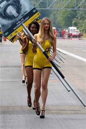 Formula 1 kızları artık yok