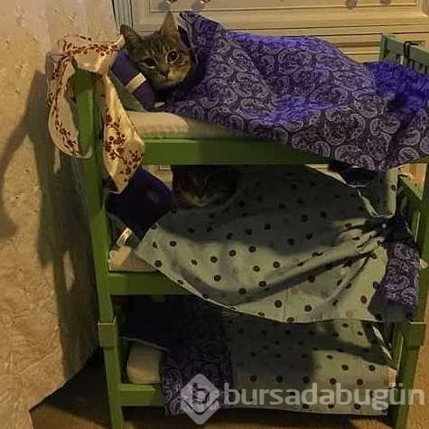 Canı sıkılan insanların yaptıklarına 