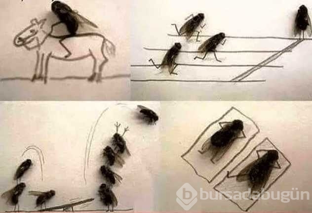 Canı sıkılan insanların yaptıklarına 
