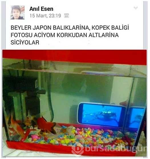 Canı sıkılan insanların yaptıklarına 
