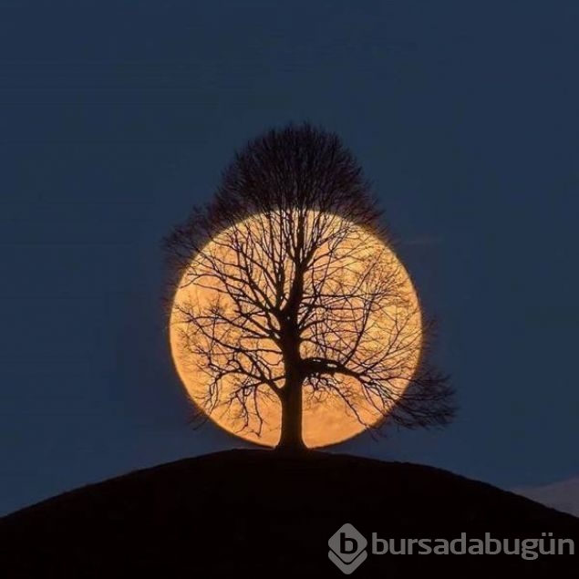 Birbirini tamamlayan o anlar
