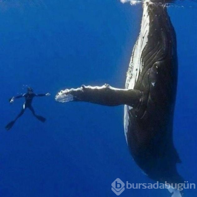 Birbirini tamamlayan o anlar
