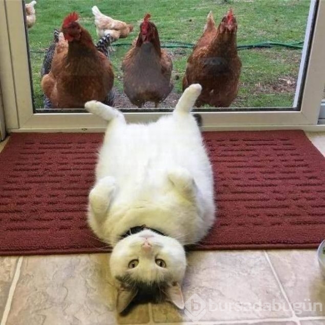 Günün en çok paylaşılan fotoğrafları