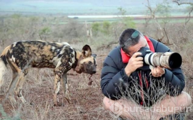 Günün en çok paylaşılan fotoğrafları