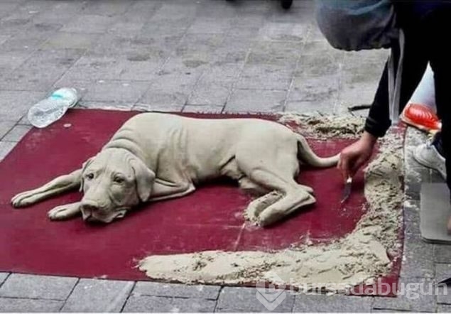 Günün en çok paylaşılan fotoğrafları