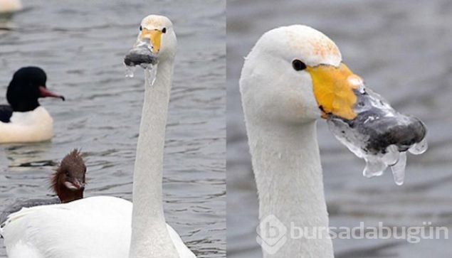 Günün en çok paylaşılan fotoğrafları