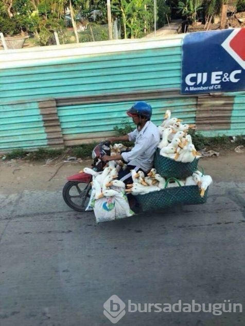 Günün en çok paylaşılan fotoğrafları