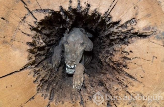 Günün en çok paylaşılan fotoğrafları