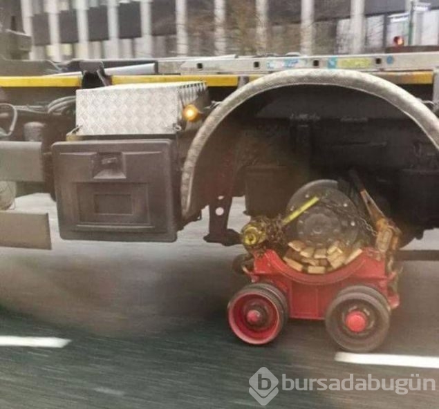 Günün en çok paylaşılan fotoğrafları