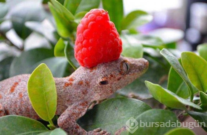 Sosyal medyada en çok paylaşılan fotoğraflar
