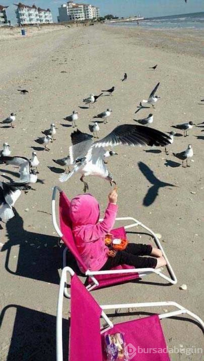 Sosyal medyada en çok paylaşılan fotoğraflar