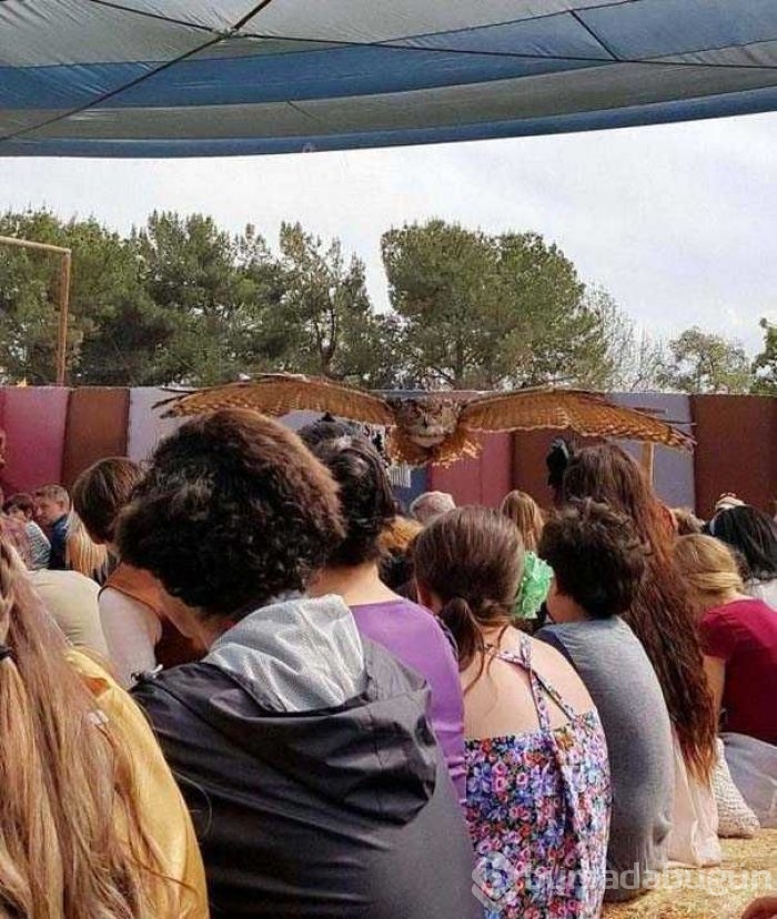 Sosyal medyada en çok paylaşılan fotoğraflar