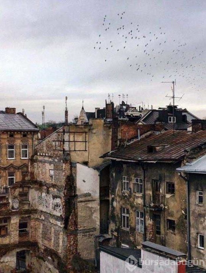 Sosyal medyada en çok paylaşılan fotoğraflar