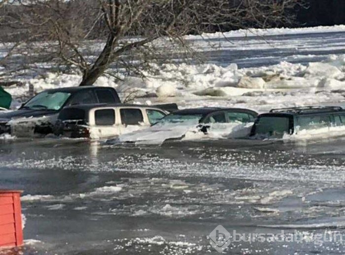 Sosyal medyada en çok paylaşılan fotoğraflar