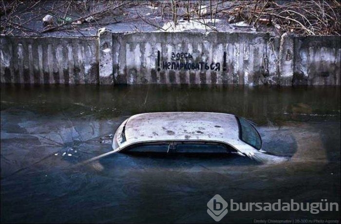 Sosyal medyada en çok paylaşılan fotoğraflar