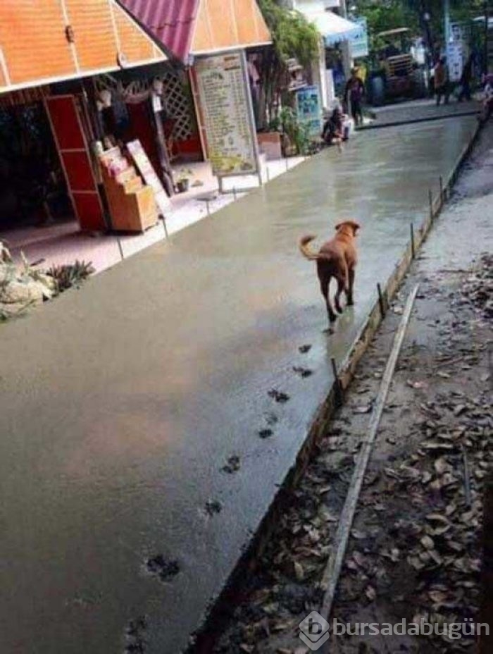 Sosyal medyada en çok paylaşılan fotoğraflar