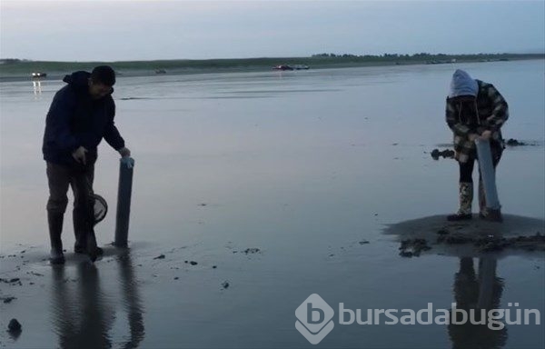 Böyle balık tutma taktiği gördünüz mü?
