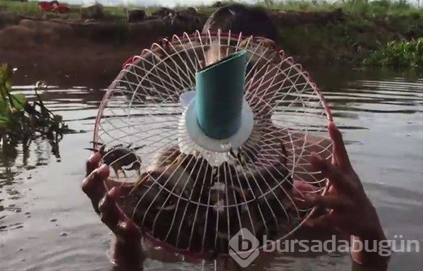 Böyle balık tutma taktiği gördünüz mü?