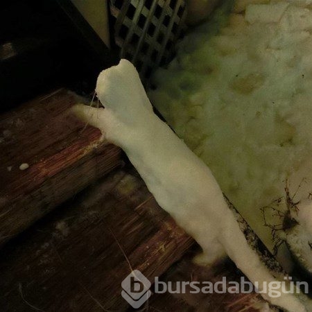 Japonlar kardan adam yaparsa