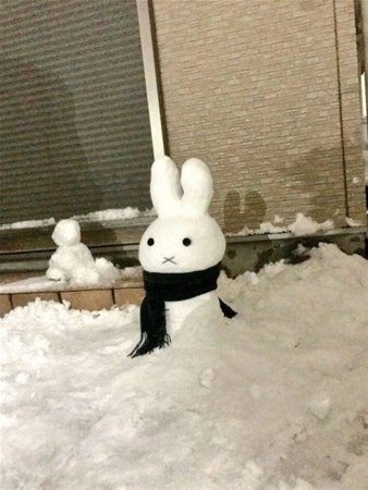 Japonlar kardan adam yaparsa