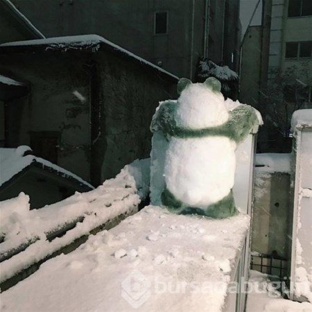 Japonlar kardan adam yaparsa