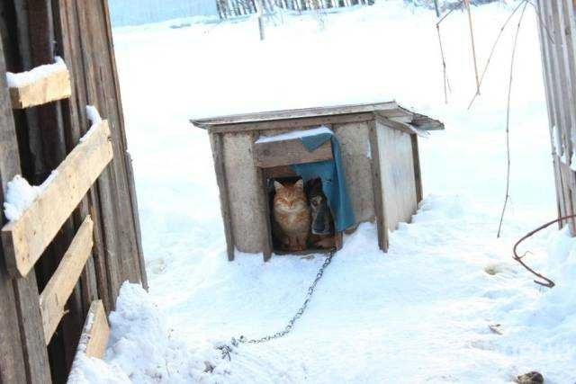 Günün en çok paylaşılan fotoğrafları