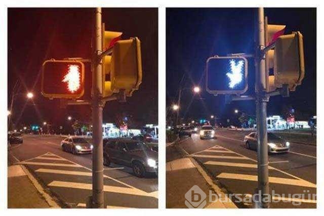 Günün en çok paylaşılan fotoğrafları