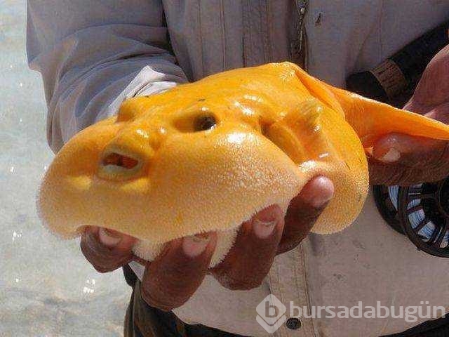 Günün en çok paylaşılan fotoğrafları