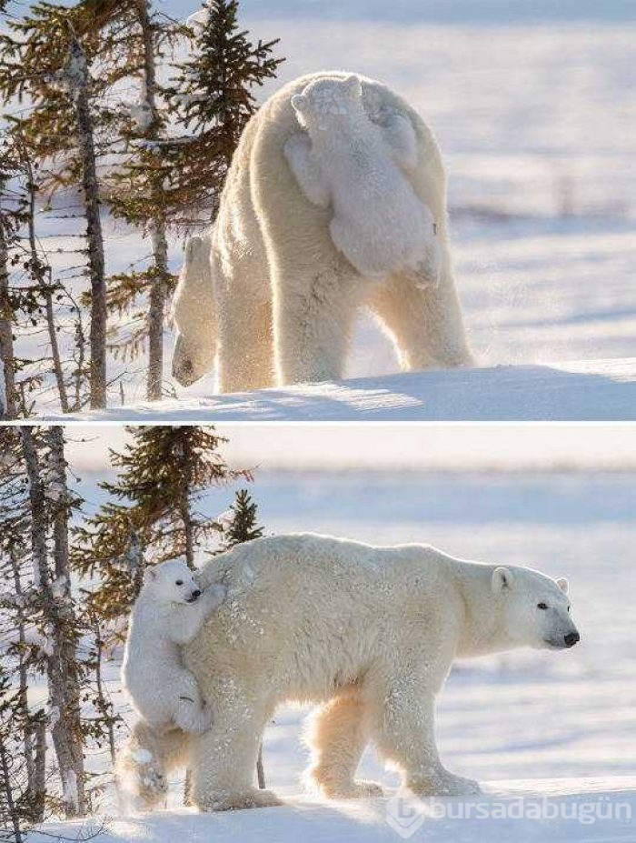 Günün en çok paylaşılan fotoğrafları