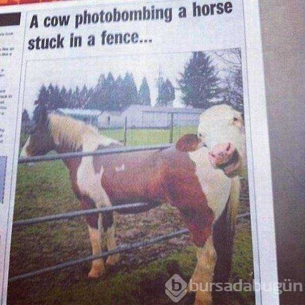 Günün en çok paylaşılan fotoğrafları