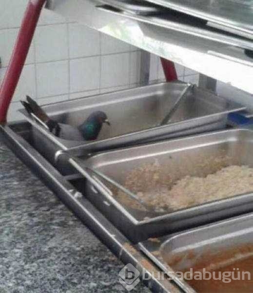 Günün en çok paylaşılan fotoğrafları