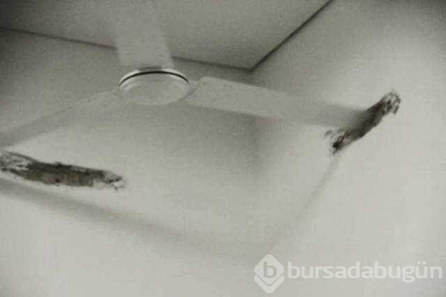 Günün en çok paylaşılan fotoğrafları