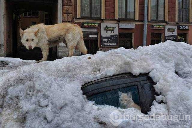 Günün en çok paylaşılan fotoğrafları