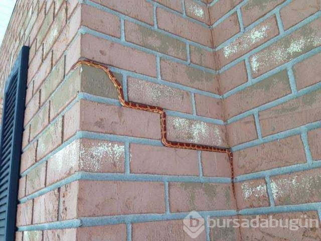 Günün en çok paylaşılan fotoğrafları