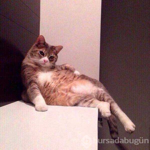 Günün en çok paylaşılan fotoğrafları