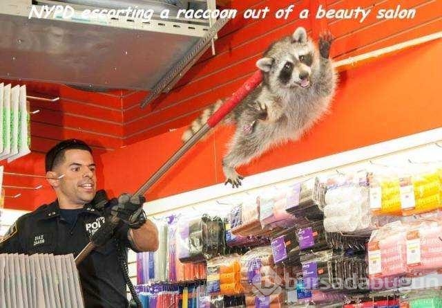 Günün en çok paylaşılan fotoğrafları