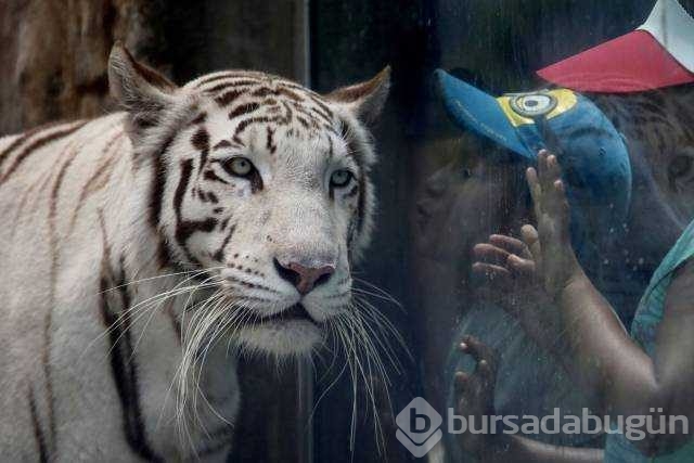 Günün en çok paylaşılan fotoğrafları