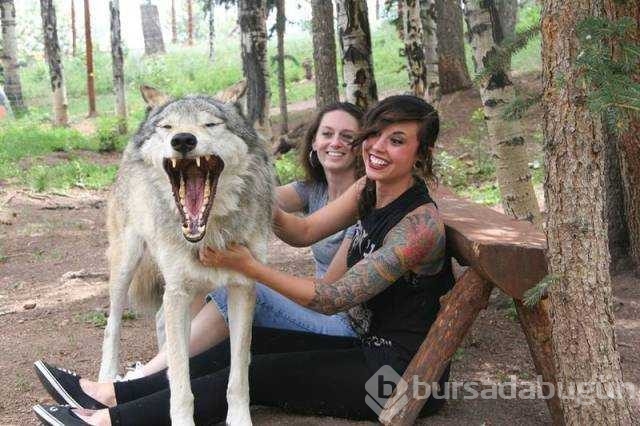 Günün en çok paylaşılan fotoğrafları