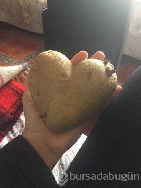 Günün en çok paylaşılan fotoğrafları