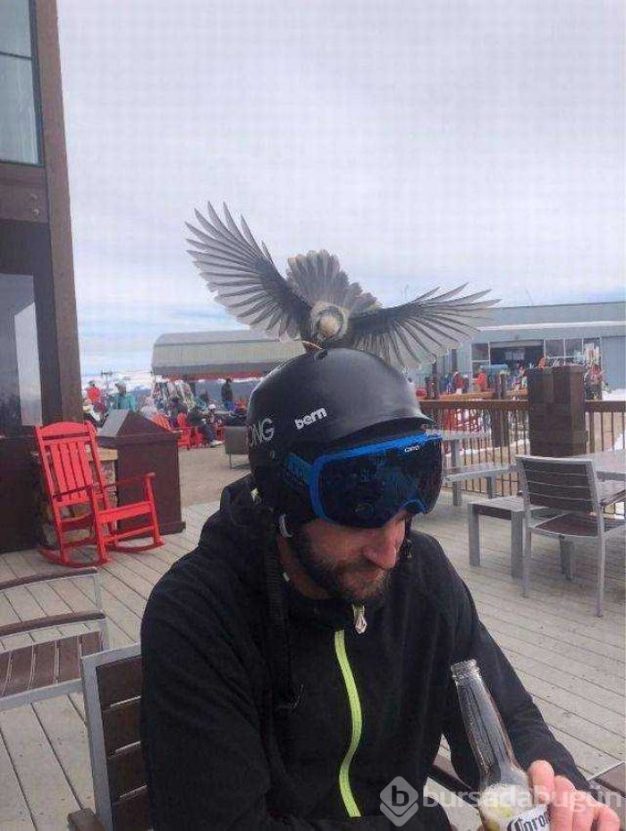Günün en çok paylaşılan fotoğrafları