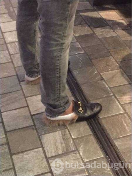 Günün en çok paylaşılan fotoğrafları