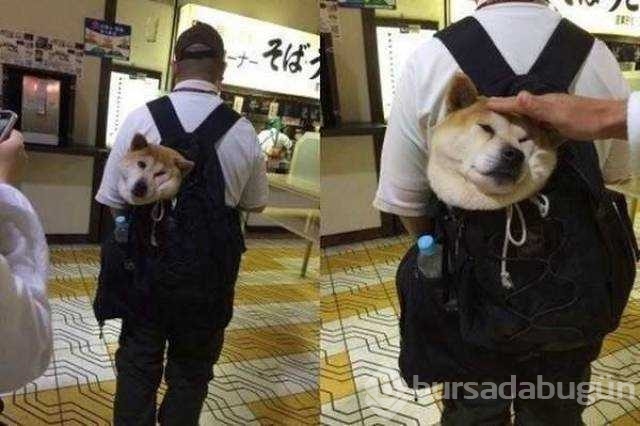 Günün en çok paylaşılan fotoğrafları