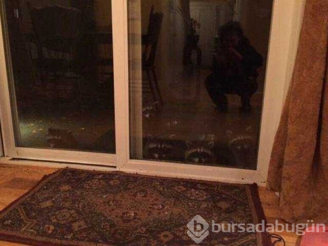Günün en çok paylaşılan fotoğrafları